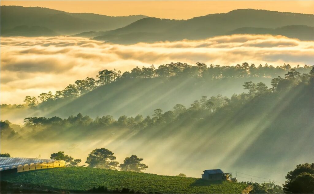 da-lat-mua-thu-cam-nang-du-lich-ngon-bo-re-3-ngay-2-dem-2-1404